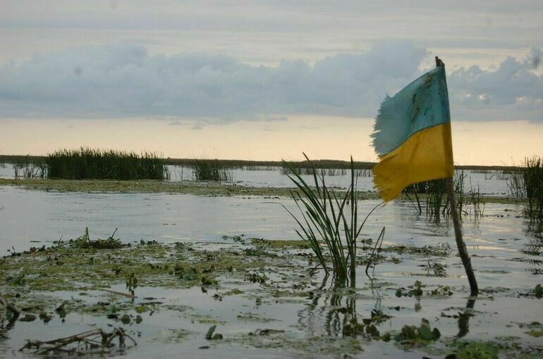 Залужный заявил, что ВСУ нужно чудо для выхода на границы 2022 года Залужный заявил, что ВСУ нужно чудо для выхода на границы 2022 года