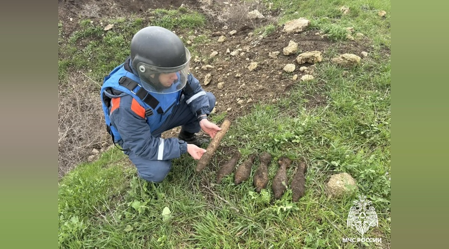 В Ленинском районе Крыма обезвредили взрывоопасные снаряды времен войны В Ленинском районе Крыма обезвредили взрывоопасные снаряды времен войны