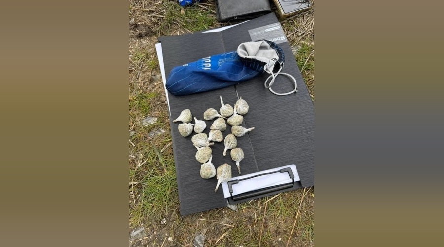 Полицейские пресекли хранение марихуаны у 21‑летнего жителя Феодосии Полицейские пресекли хранение марихуаны у 21‑летнего жителя Феодосии