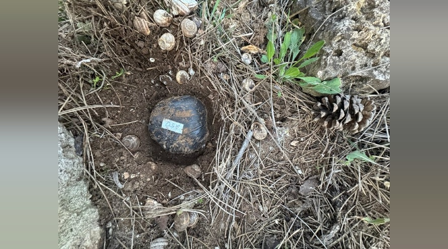 Евпаторийские полицейские сорвали сбыт особо крупной партии синтетика Евпаторийские полицейские сорвали сбыт особо крупной партии синтетика