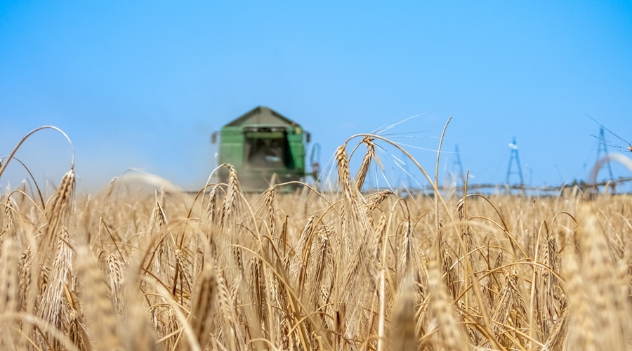 Крым завершил сбор рекордного урожая зерновых
