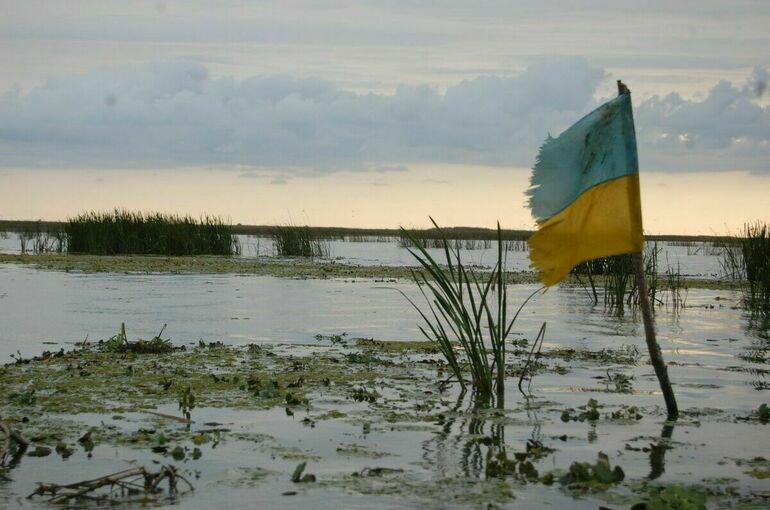 Проукраинские протестующие сорвали отдых Вэнса после спора с Зеленским