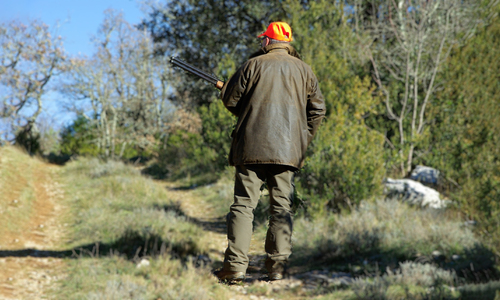 Охотник в лесах Крыма объявил охоту на лесника