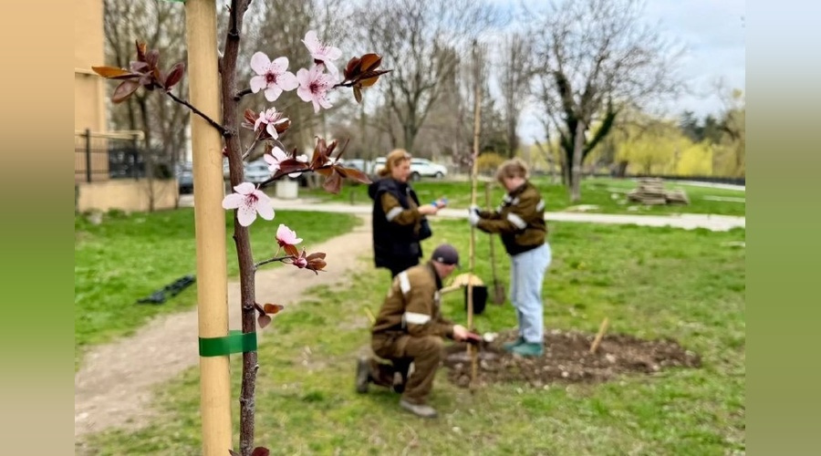В симферольском парке им. Гагарина появилась Аллея Российского театрального общества В симферольском парке им. Гагарина появилась Аллея Российского театрального общества
