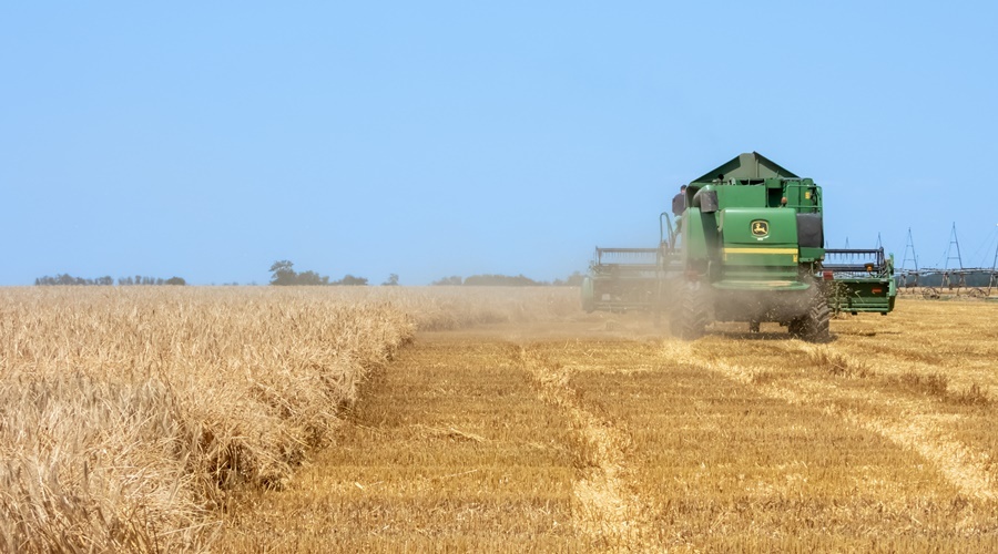 Аграрии Крыма намолотили более 2 млн тонн зерна