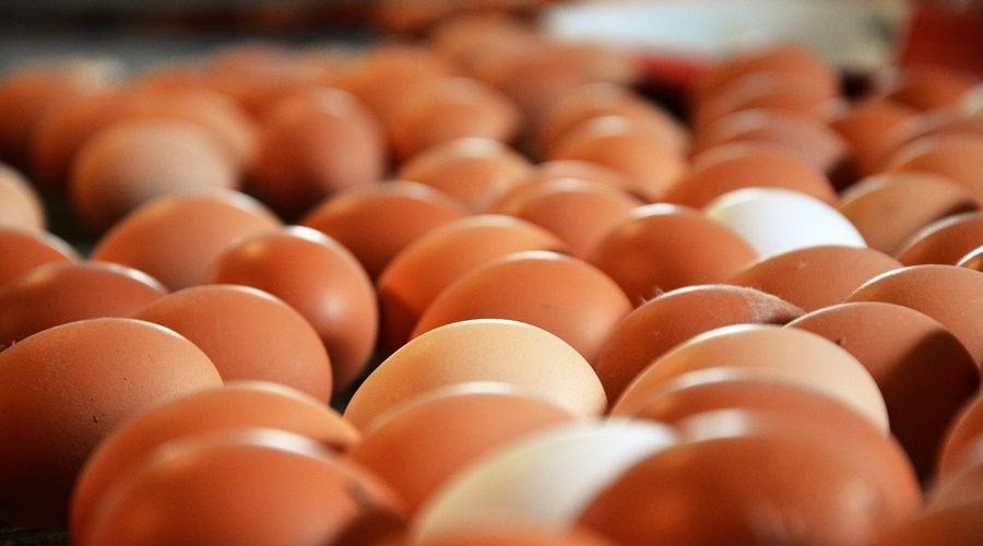 ФАС возбудила дело против производителей яиц в Крыму из-за резкого повышения цен