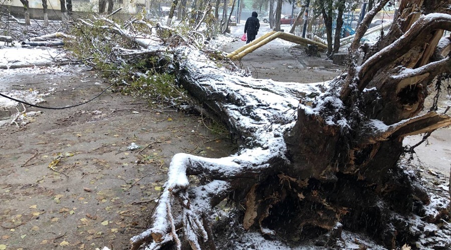 Один человек пропал и несколько пострадали во время шторма в Крыму