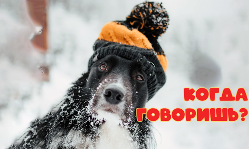 Метеоролог успокоила, что ниже -40 градусов температура в Крыму не опускается
