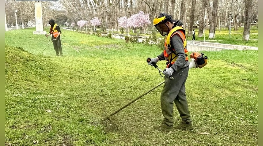 В парках Симферополя стартовали сезонные работы по покосу травы В парках Симферополя стартовали сезонные работы по покосу травы