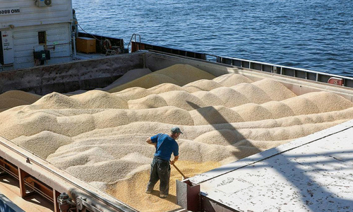 Губернатору Севастополя нужны новые большие морские зерновозы