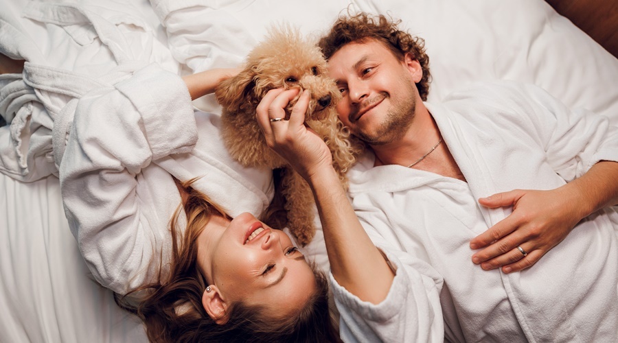 Курорт «Мрия» и компания «Валта Пет Продактс» создают новый стандарт pet-friendly отдыха в России Курорт «Мрия» и компания «Валта Пет Продактс» создают новый стандарт pet-friendly отдыха в России