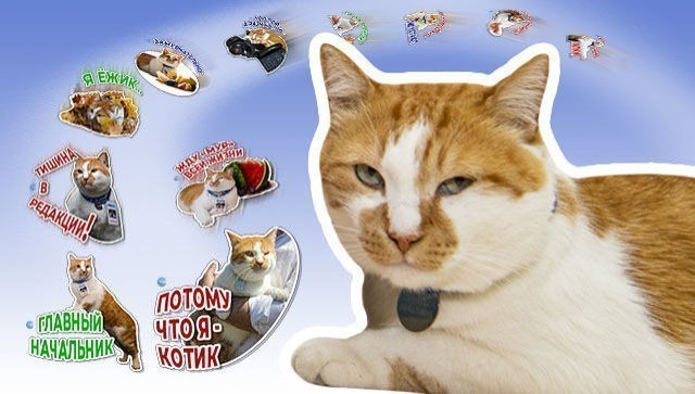 Подарок от котика: Мостик делится стикерами в Viber и Telegram