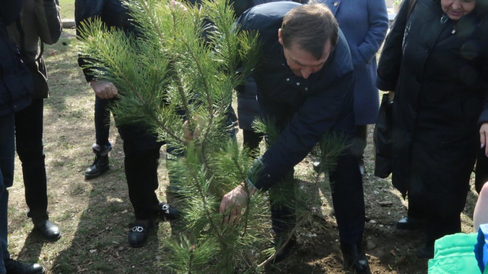 Юрий Гоцанюк принял участие в высадке деревьев в рамках Всероссийской акции «Сад памяти»