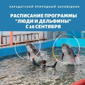 Программа «Люди и дельфины»