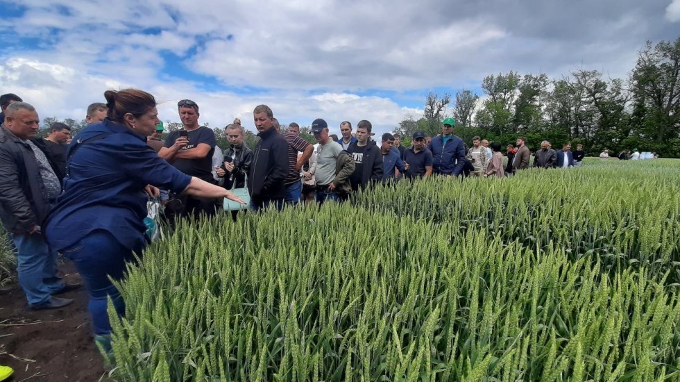 Крымские представители аграрной сферы принимают участие в «Дне поля - 2021» в Краснодарском крае - Андрей Рюмшин