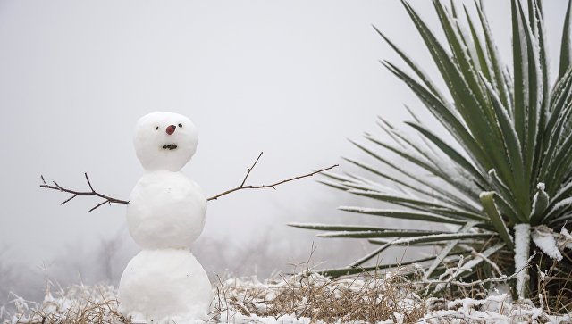 От жары к морозам: в Крыму ожидается первый снег