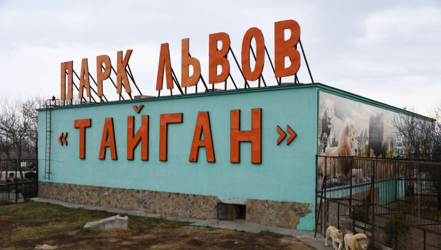 Суд в Крыму принял второе решение о закрытии «Тайгана» на месяц