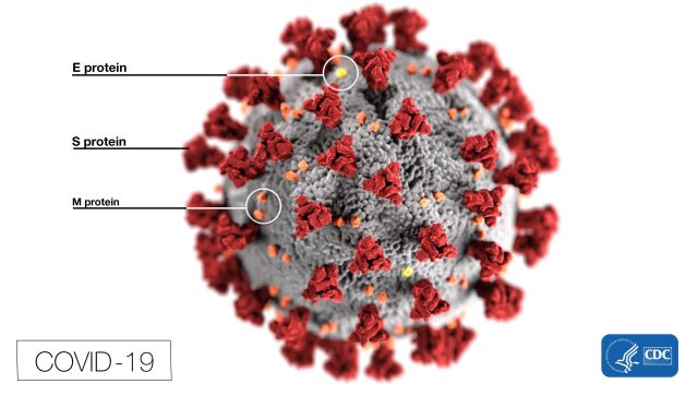 Первый случай «британского» штамма коронавируса выявлен в России