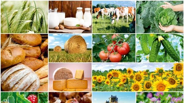 Крымские аграрии могут принять участие в Национальном всероссийском конкурсе в сфере органической продукции