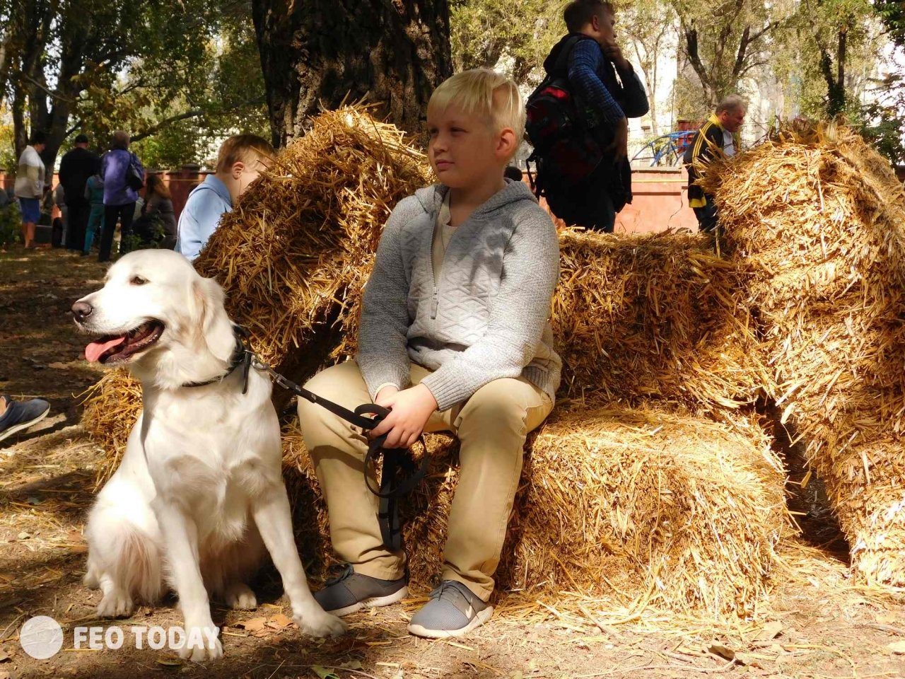 Выставка собак КРАСА КАФЫ в Феодосии #5097