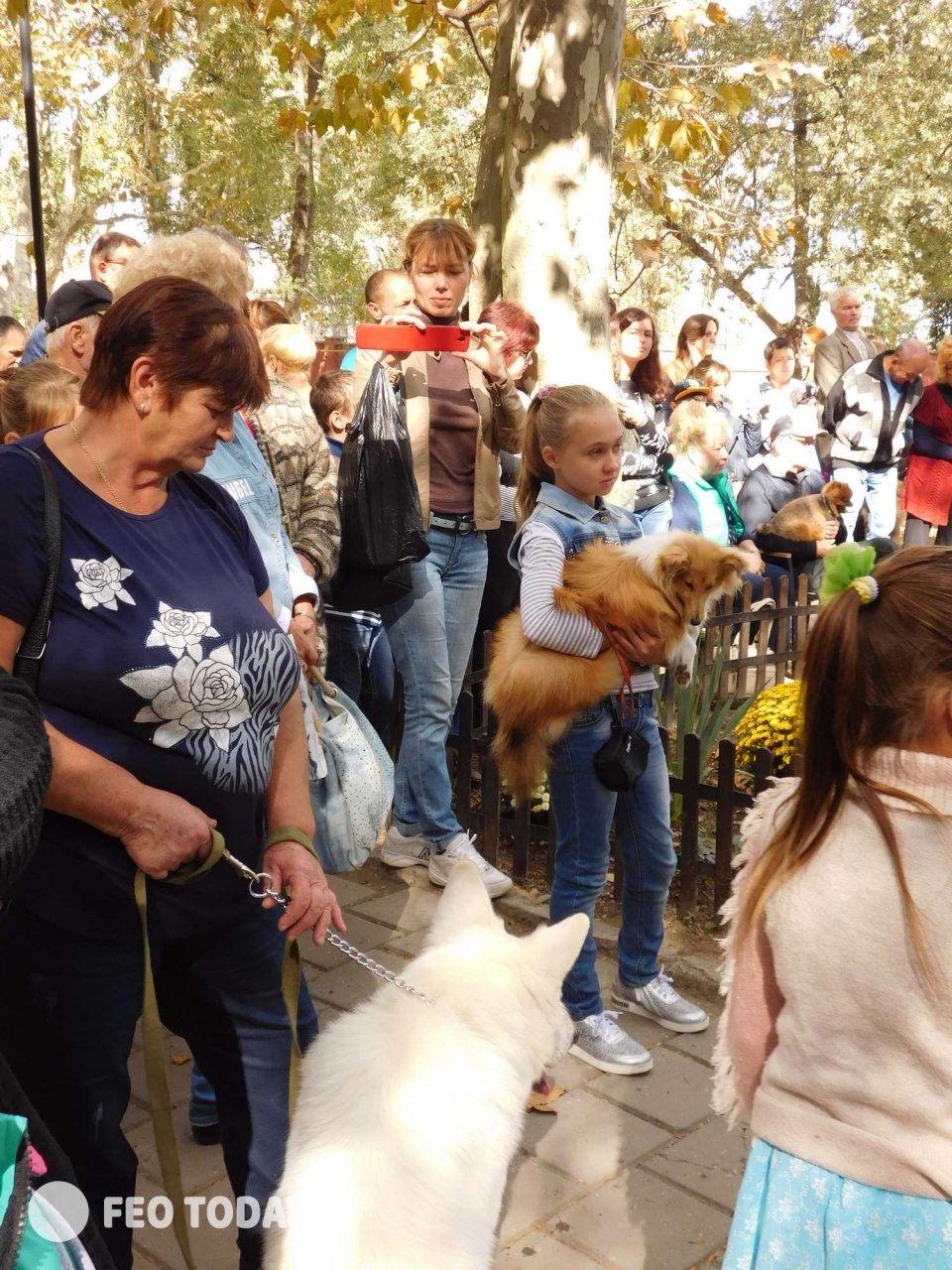 Выставка собак КРАСА КАФЫ в Феодосии #5137