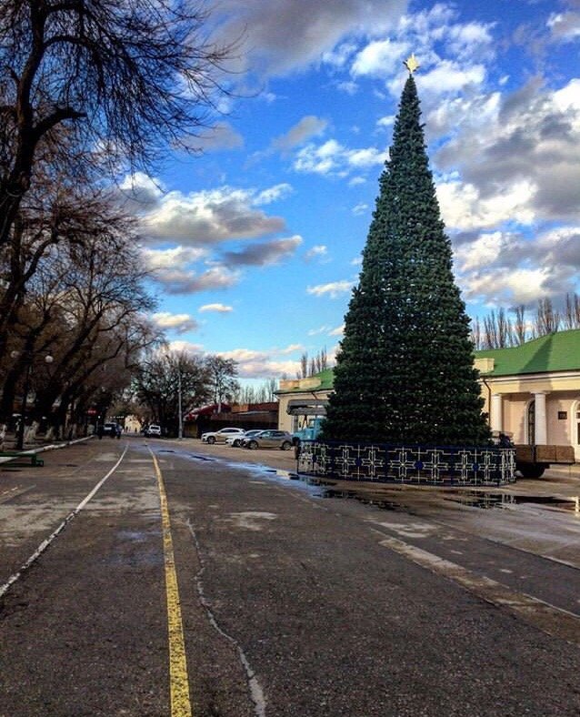 Главная феодосийская новогодняя ёлка украсится новой полукилометровой гирляндой