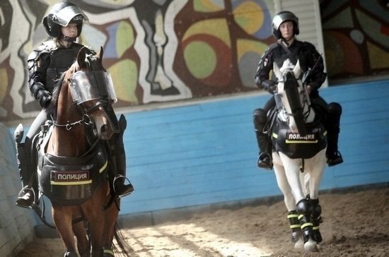 Лошадям из конной полиции прописали солярий
