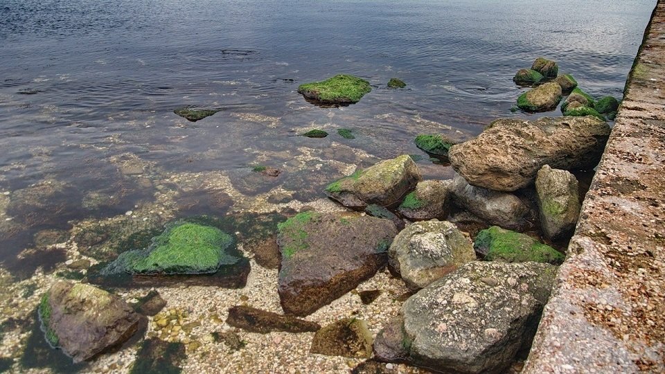 Участок береговой линии «Суворинские камни» не приспособлен для купания и отдыха