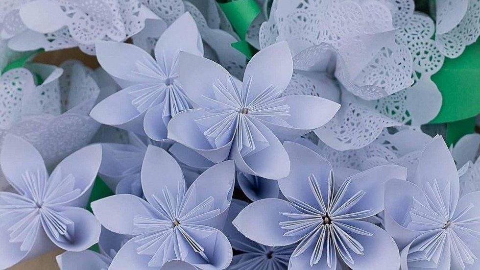 В Республике Крым с 19 по 26 сентября пройдет благотворительная акция «Белый цветок»