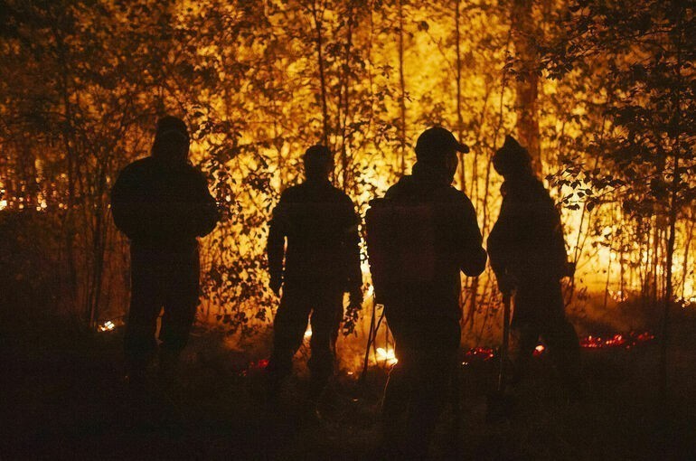За кубометр сожжённых деревьев предлагают сажать в тюрьму