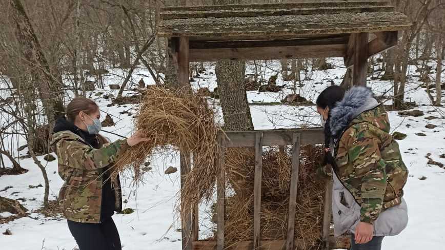 Минприроды РК: Воспитанники школьного лесничества «Росток» в условиях зимних холодов осуществляют подкормку диких животных