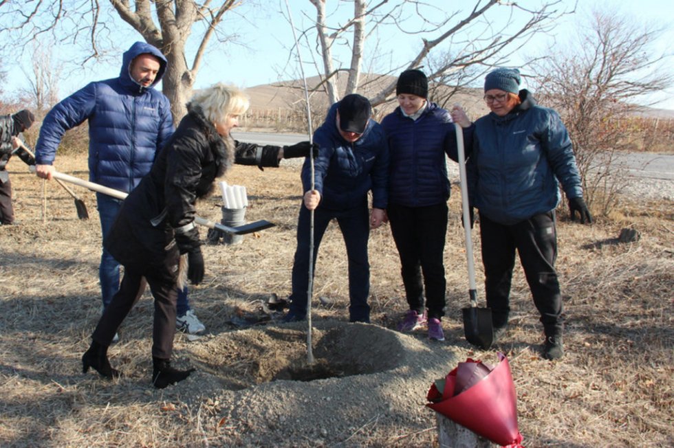 Единороссы Феодосии приняли участие в высадке деревьев