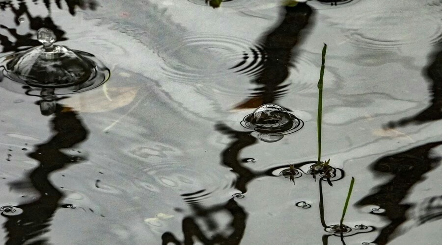 Последствия подтоплений из-за дождей устраняют в Феодосии