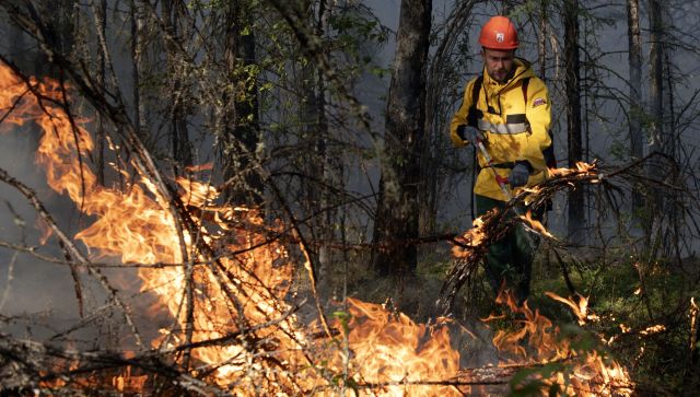 Пожары на Дальнем Востоке: горит почти 8 млн гектаров лесов