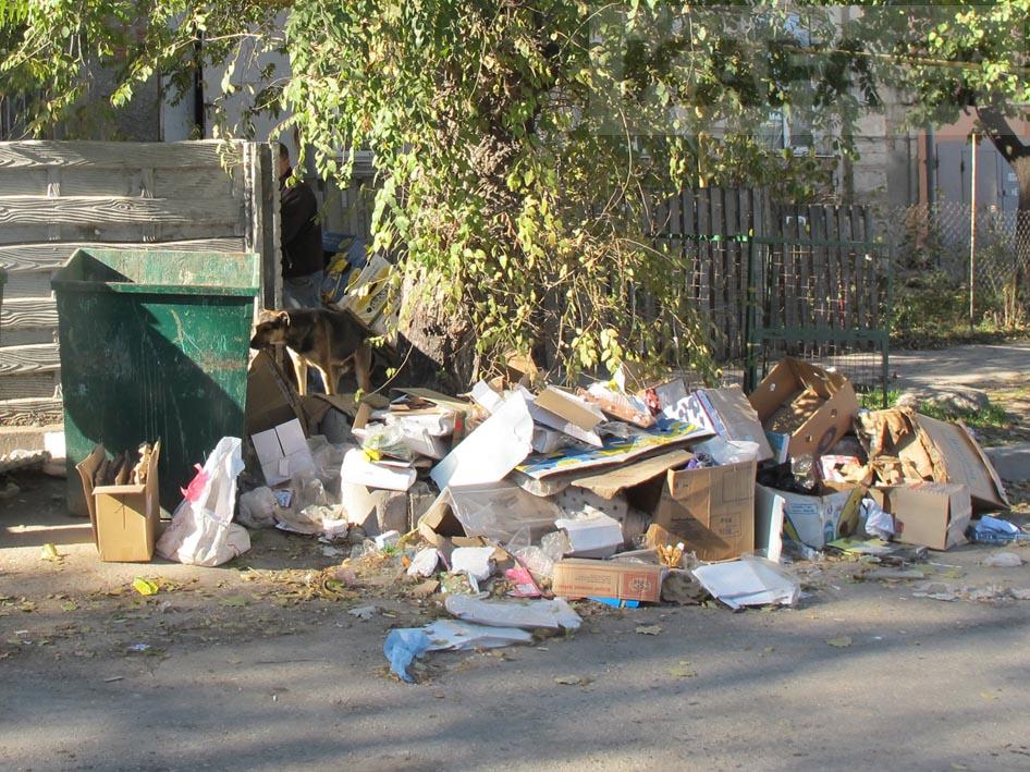 Правительство Крыма выделит 40 млн руб на решение проблем с мусором в Феодосии