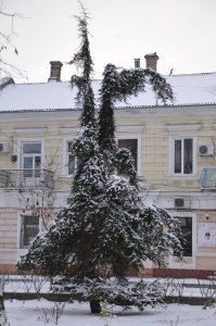 Зима в Феодосии, 2018 #6674