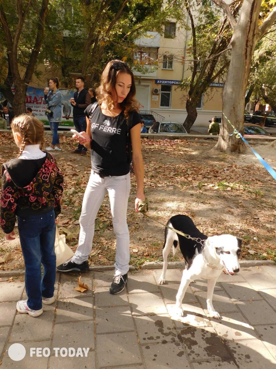Выставка собак КРАСА КАФЫ в Феодосии #5056