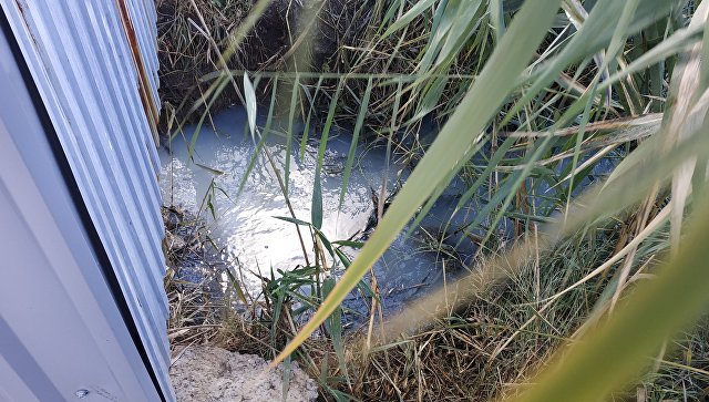 В озера под Саками сливали канализационные стоки – ОНФ