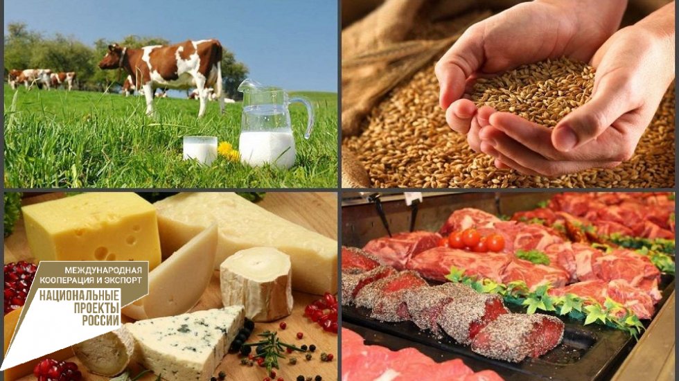 Республика Крым увеличит экспорт продукции агропромышленного комплекса на 100%