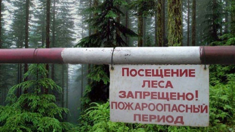 Минприроды Крыма информирует об ограничении пребывания граждан в лесах в связи с высокой пожарной опасностью