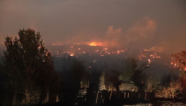 В нескольких районах Кубани из-за фейерверка загорелся лес - ДОПОЛНЕНО