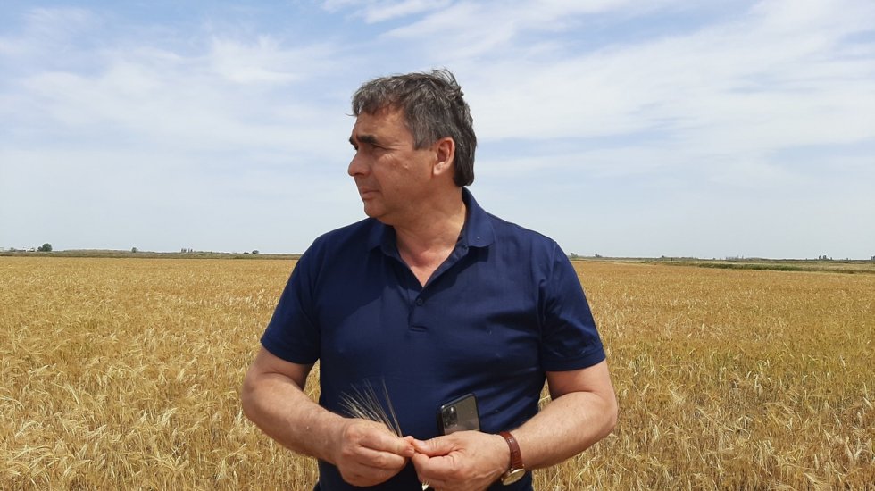 Первые в России: В Республике Крым стартовала уборочная кампания озимых зерновых культур – 2020 – Андрей Рюмшин
