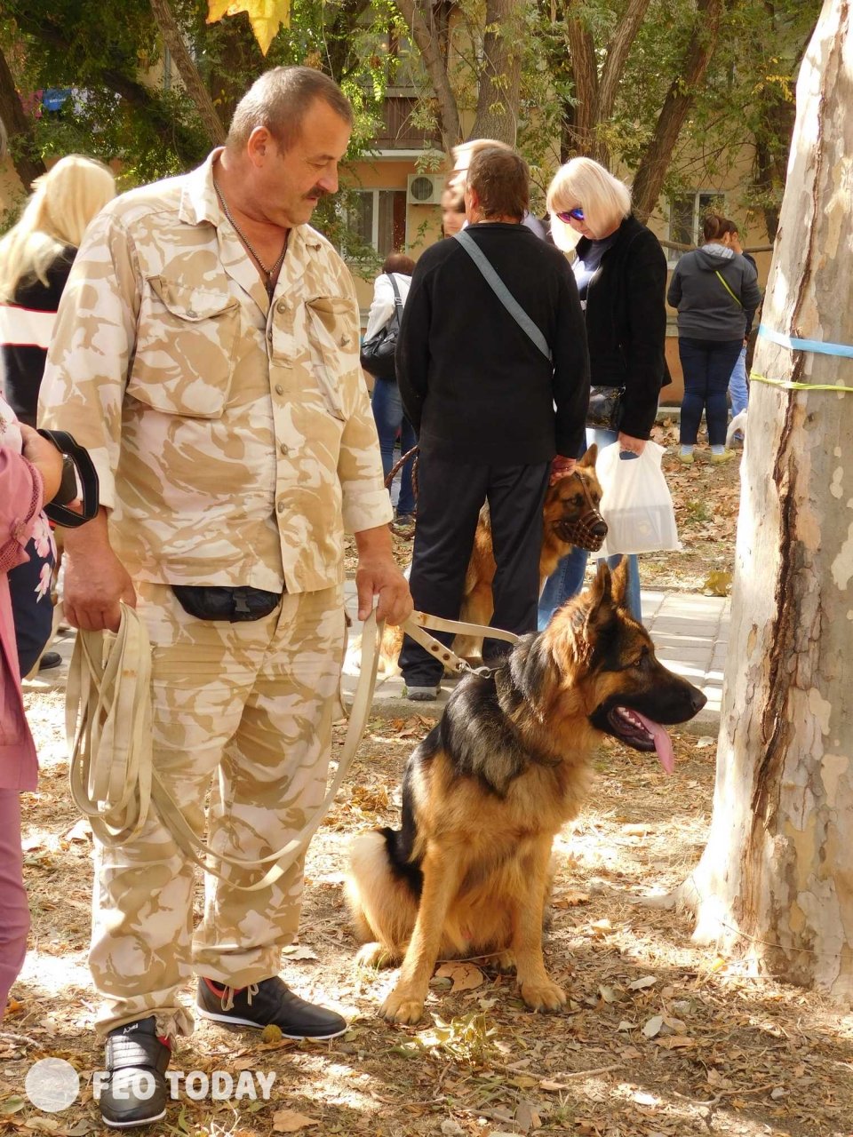 Выставка собак КРАСА КАФЫ в Феодосии #5070