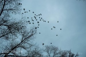 В Феодосии почтили память жертв трагедии в Кемерове #7616