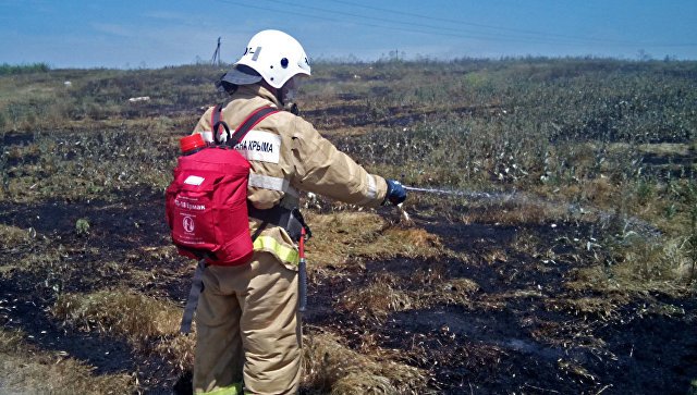 Полыхающий гектар: в Крыму пожар едва не уничтожил поле пшеницы