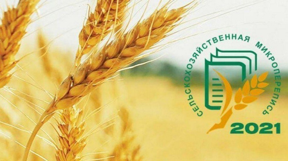 В Крыму с 1 по 30 августа пройдет сельскохозяйственная микроперепись 2021 года