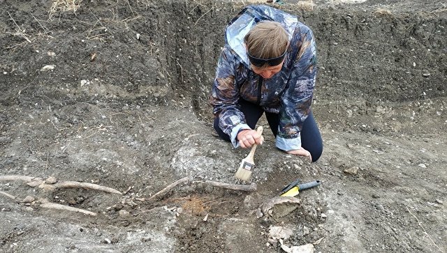 Ученые из Франции приедут в Крым на археологические раскопки
