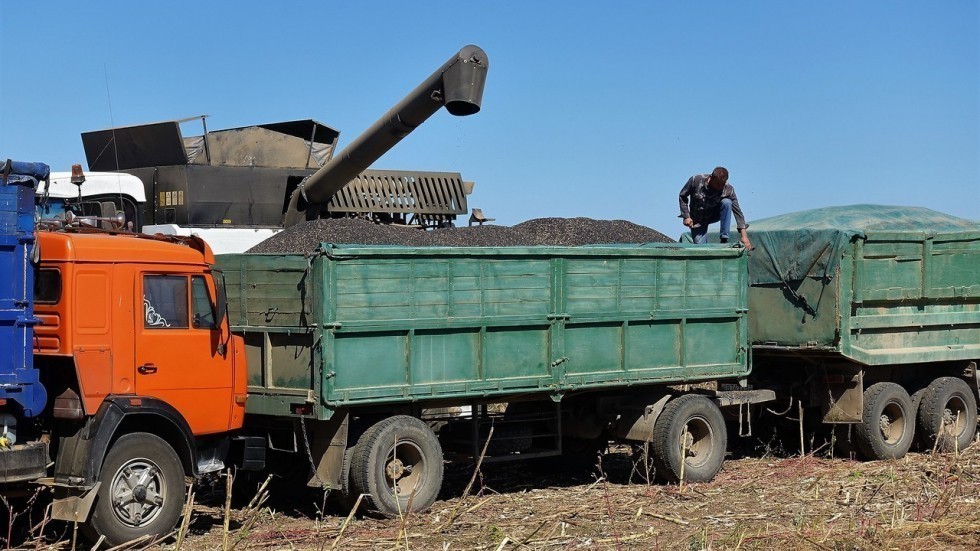 Андрей Рюмшин: Крымские аграрии намолотили более 17 тысяч тонн подсолнечника