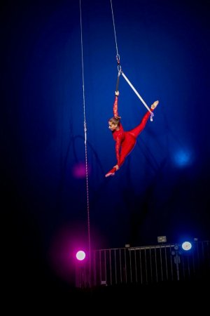 Выступление цирка Юрия Никулина #14567