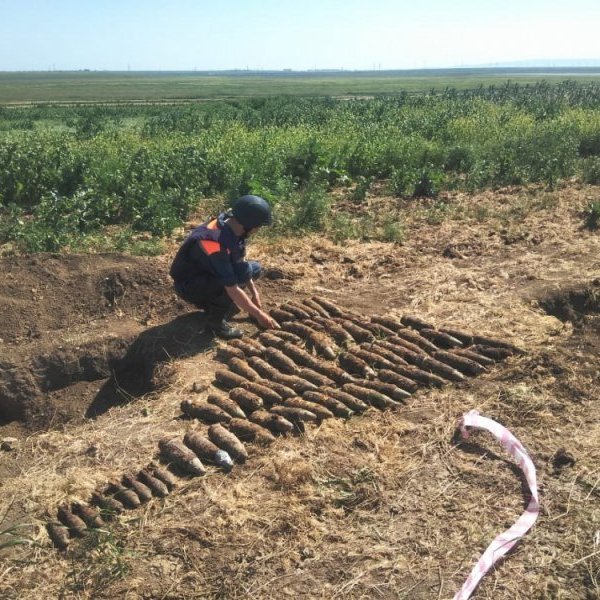 Опасный урожай: за два дня в Ленинском районе обезвредили 8 тыс боеприпасов